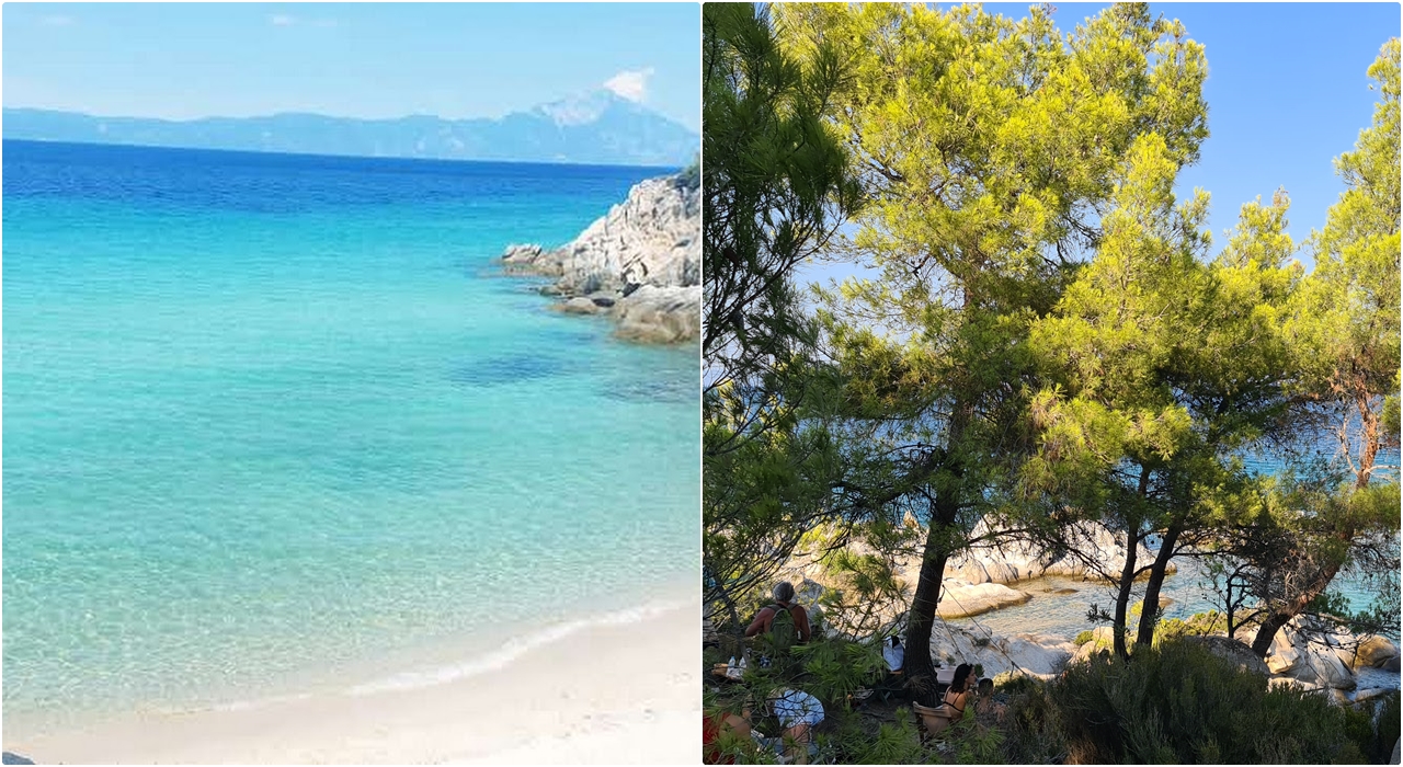  Kavourotripes Paradise Sitonija 